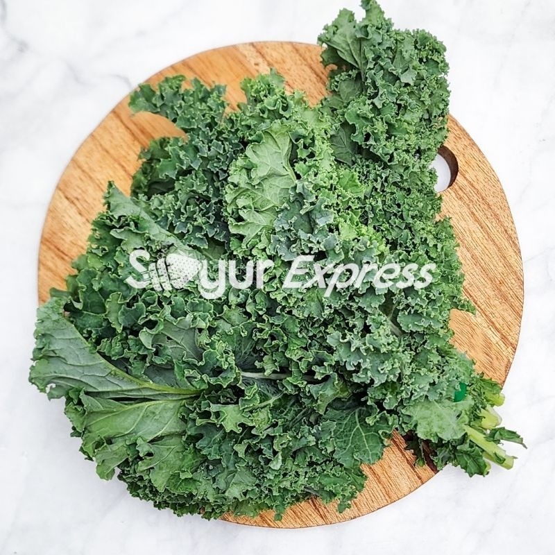 

Syegar Fresh Kale 200gr