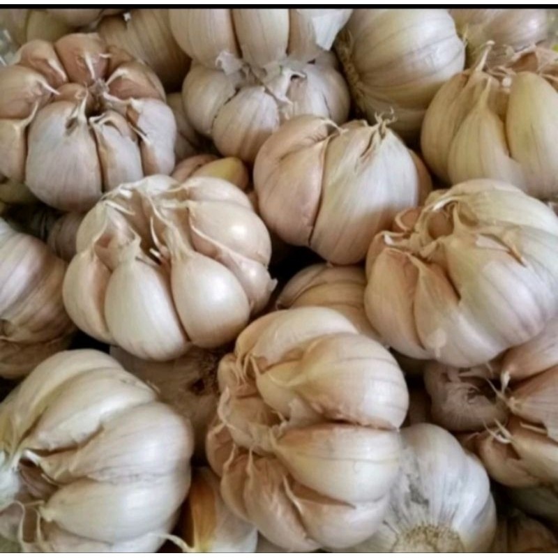 

Bawang putih lokal (JATIM)/Bawang putih premium
