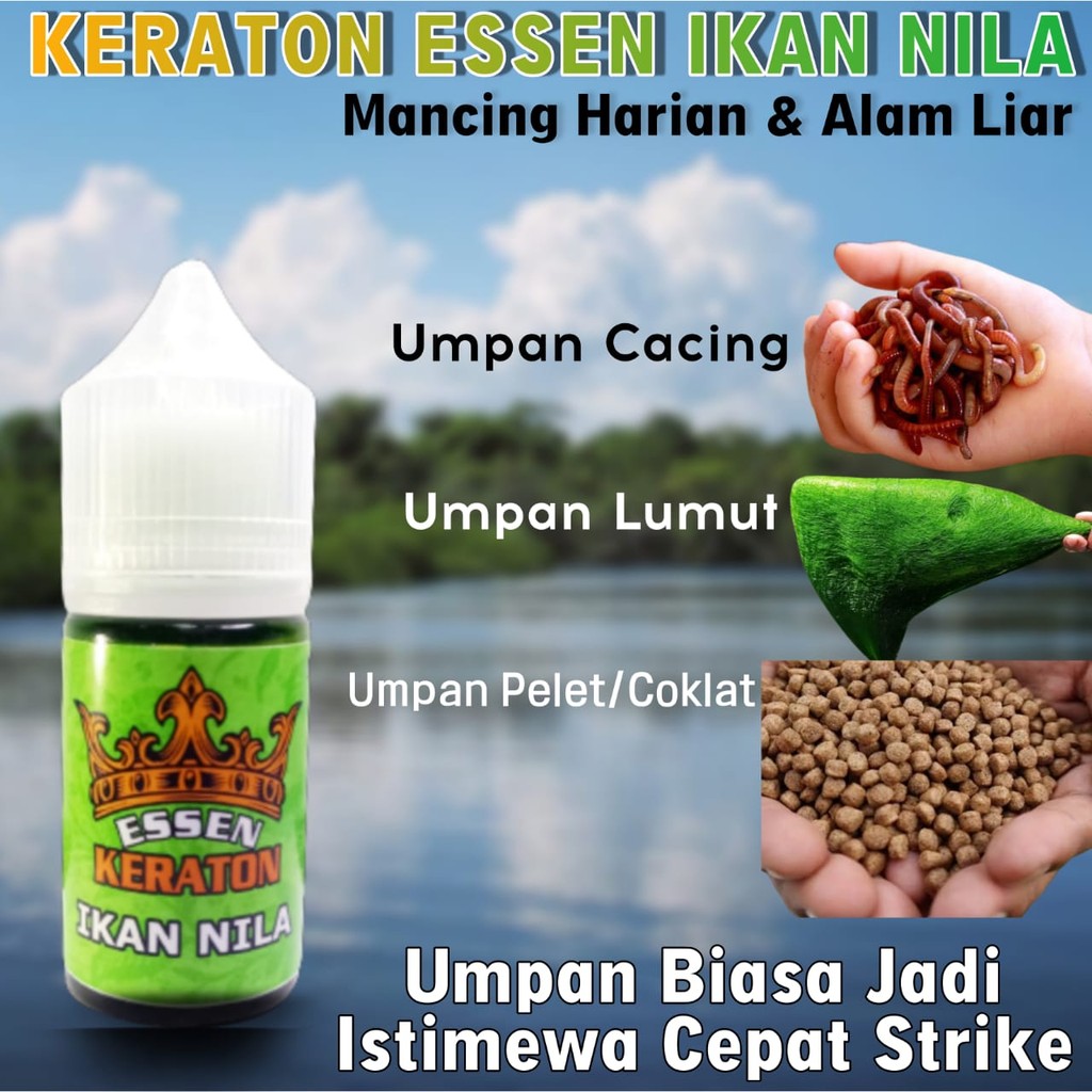 Essen Ikan Nila Liar Paling Gacor Media Lumut, Essen Keraton Khusus Mancing Ikan Nila Harian Liar Pa