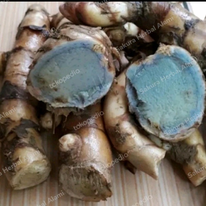 

temu hitam atau temu ireng segar 1 kg