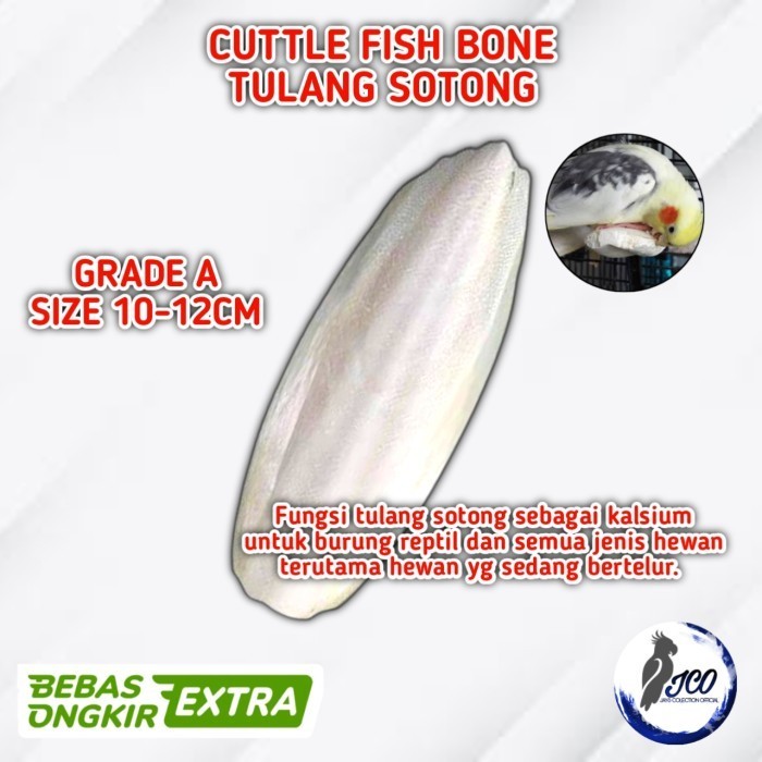 TULANG SOTONG EXTRA FOODING BURUNG KURA TULANG SOTONG BURUNG