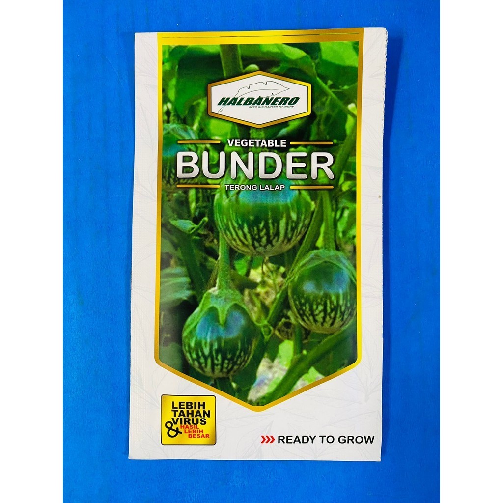 Promo Benih terong lalap BUNDER isi 10gr dari HALBANERO