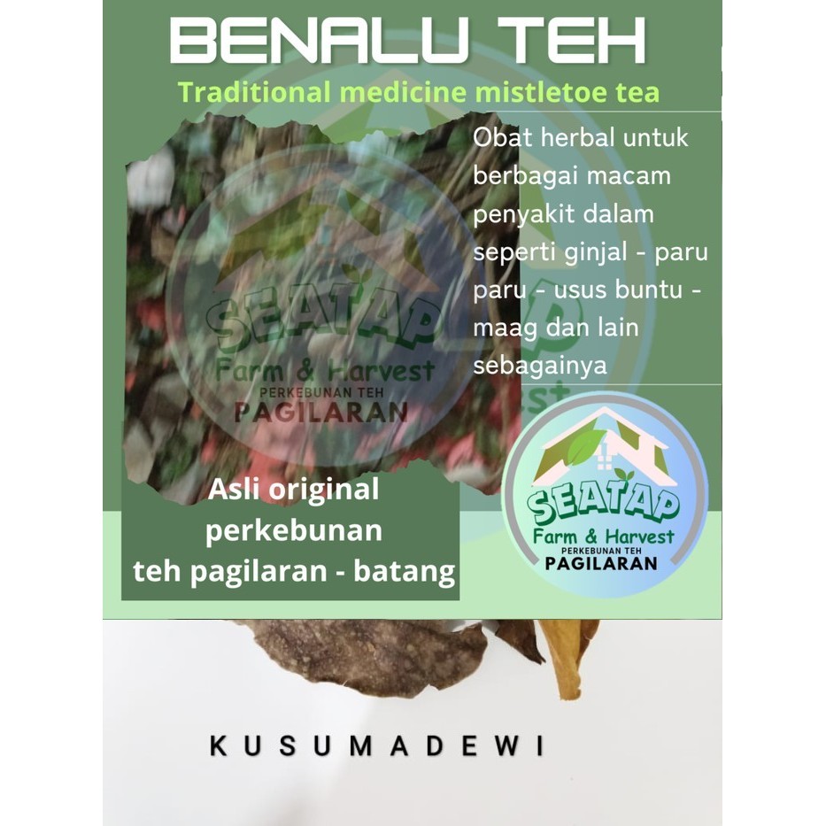 

Daun Benalu Teh Kering / Telinga Kera / Akar Api-Api 250 gr