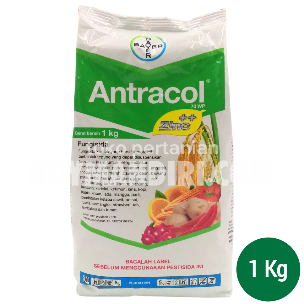 Fungisida Kontak Antracol 70WP @1 kg