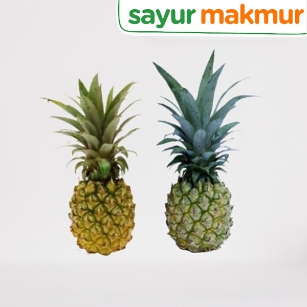 

Nanas Madu Konvensional 2 pcs Sayurmakmur
