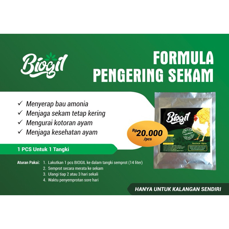 obat penghilang bau dan amoniak amonia litter kandang ayam pengering sekam biogil