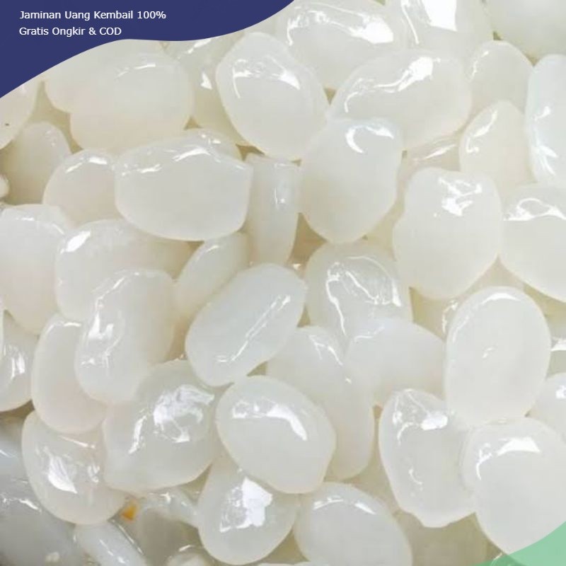 

KOLANG KALING FRESH 250GR