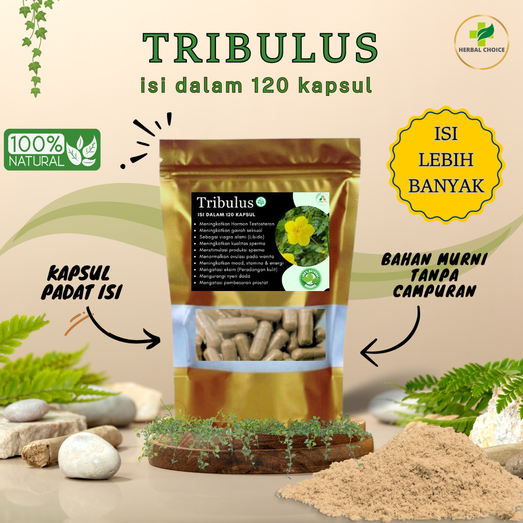 Kapsul Tribulus isi 120 Herbal Alami Vitalitas Pria
