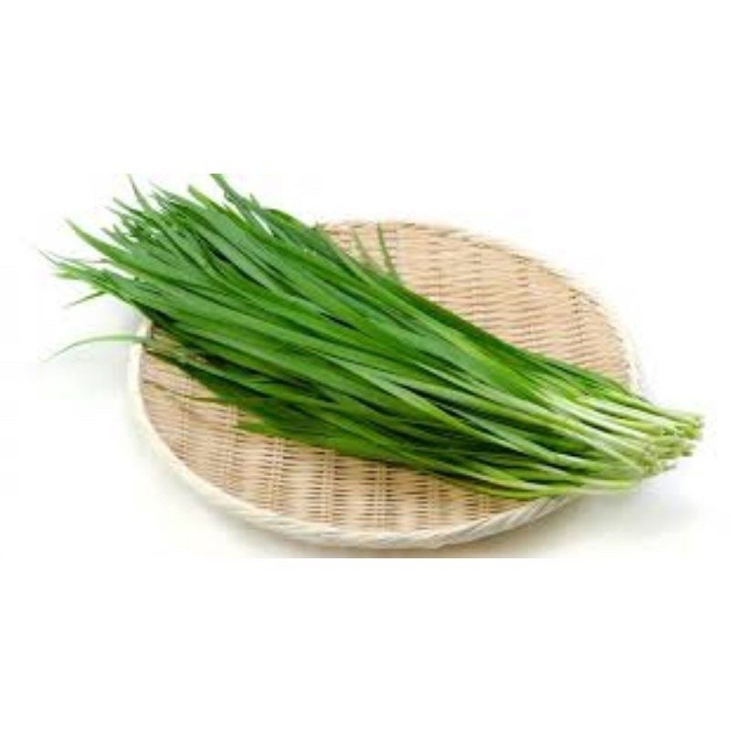 

Daun Kucai 100gram - BEST Fresh Food