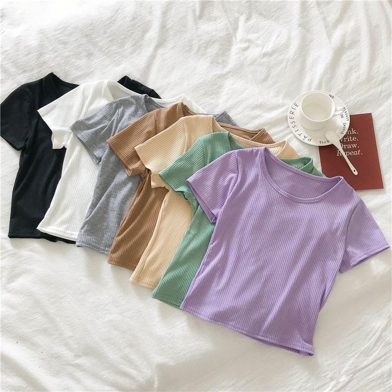 Crop top Basic Tshirt RIB PREMIUM Knit