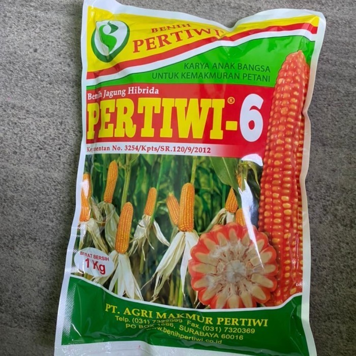 benih jagung pertiwi 6