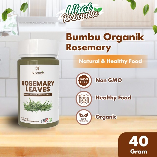 

ALAMEE Daun Rosemary Kering Dried Leaves Garnish Murni Asli Tanpa Campuran Bumbu Dapur LIHAT KEBUNKU
