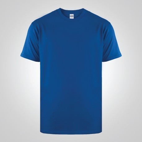NSA - Heavy Weight T-Shirt 5400 Royal Blue