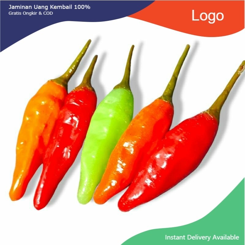 

Replika cabe rawit (1set 5pcs) / dummy cabai / bumbu dapur / dekorasi
