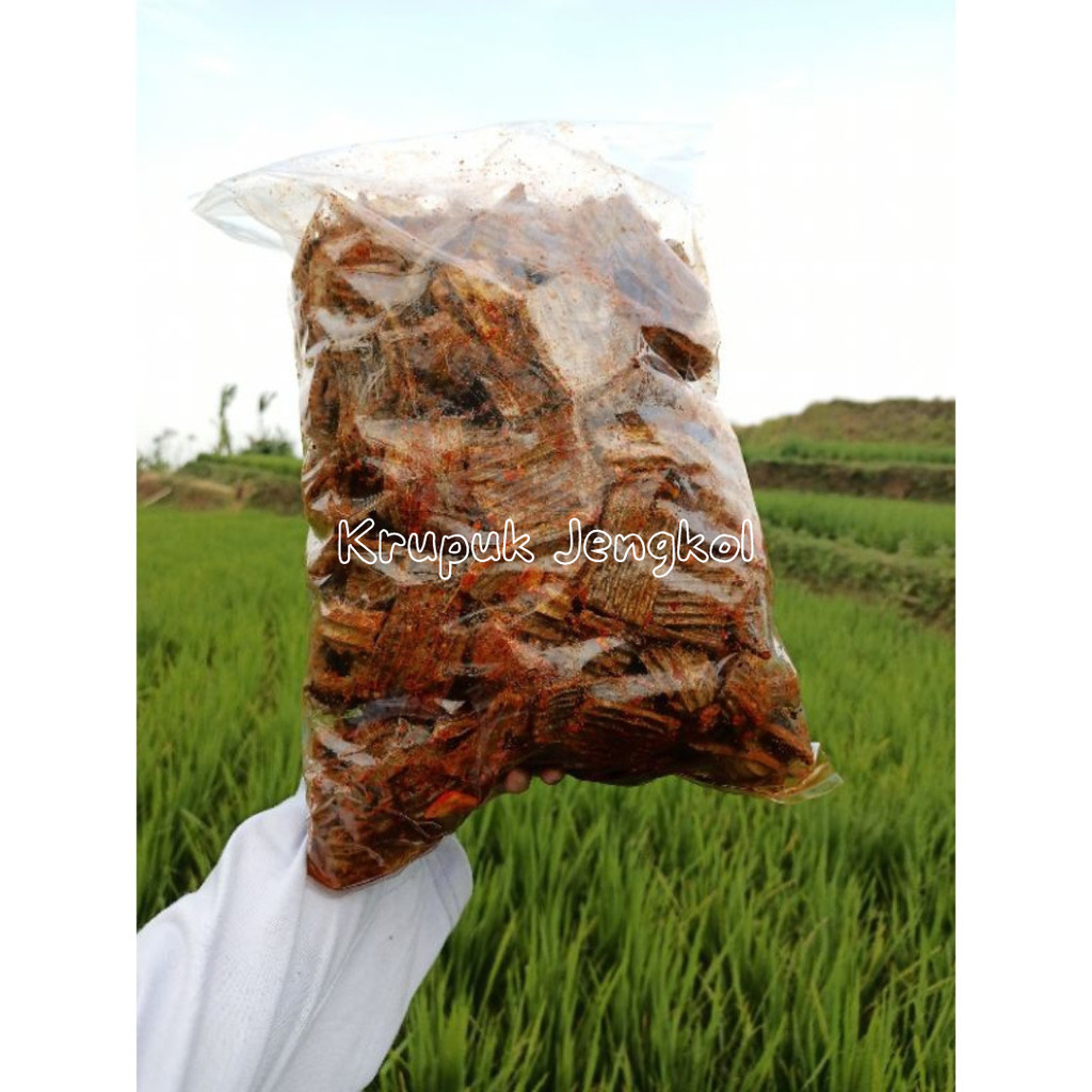 

Promo keripik jengkol kripik jengkol krupuk jengkol mentah kerupuk jengkol original