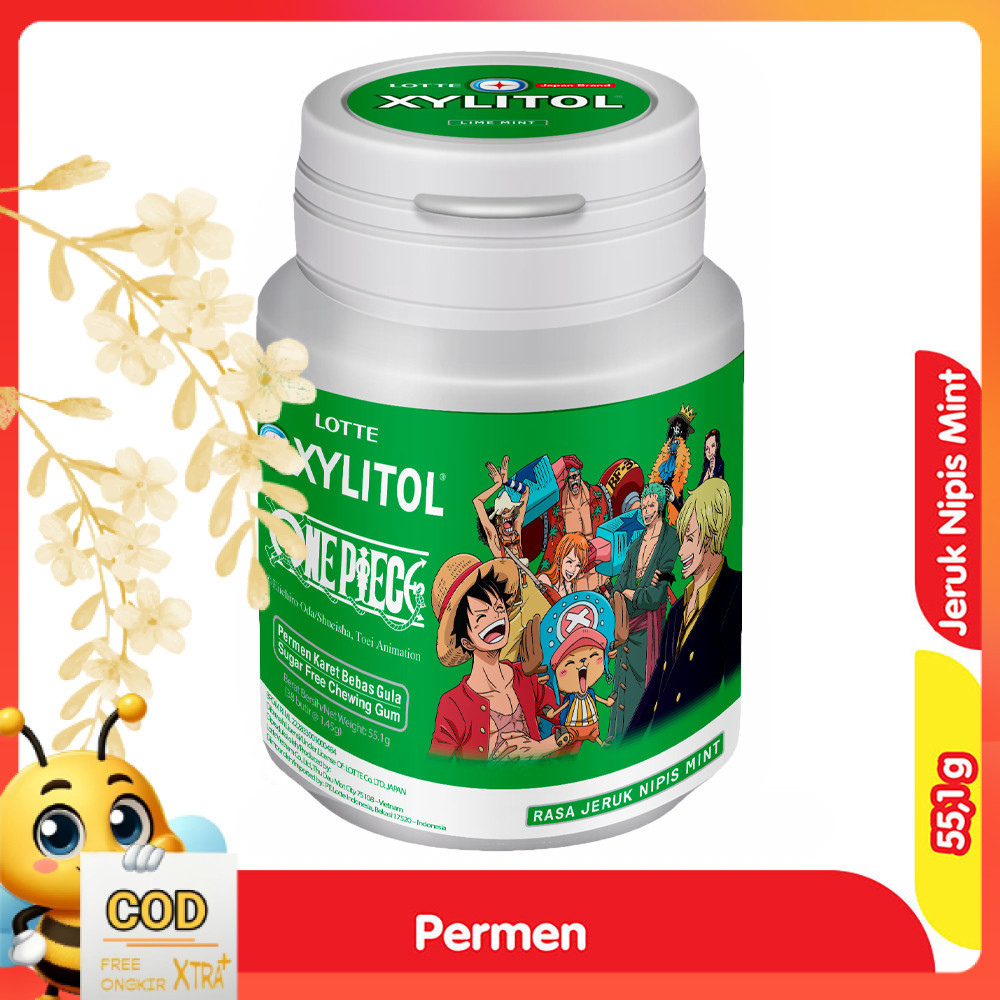 

LOTTE XYLITOL Jeruk Nipis Mint 55,1 g