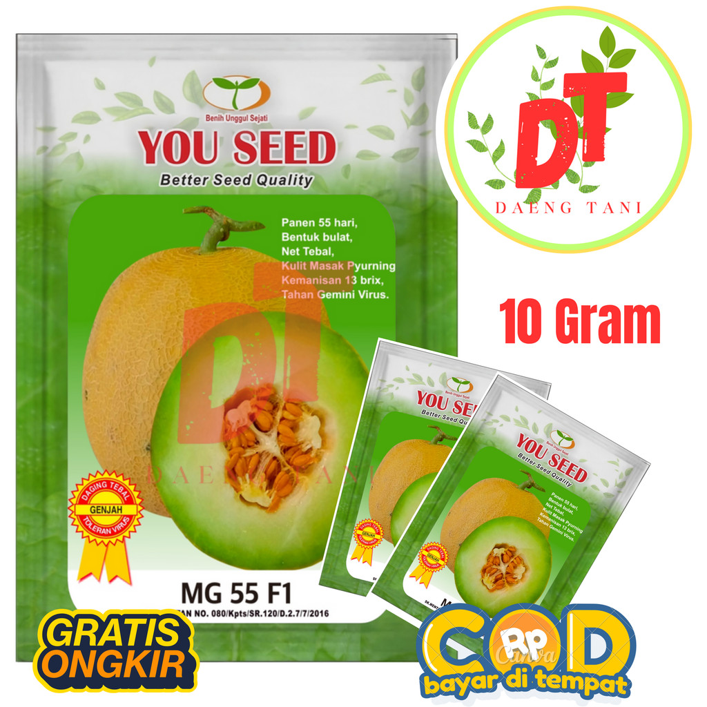 Bibit Benih Melon Madu Tahan Virus Kuning MG 55 F1 10g 700 Butir Cap You Seed