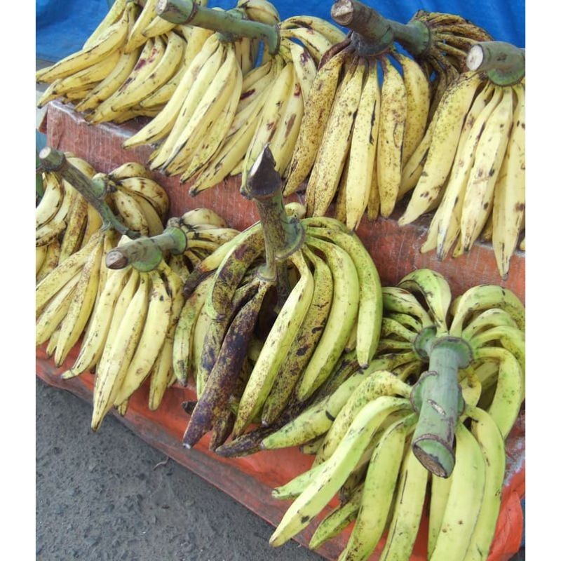 

Buah Pisang Tanduk Per Buah - BEST Fresh food