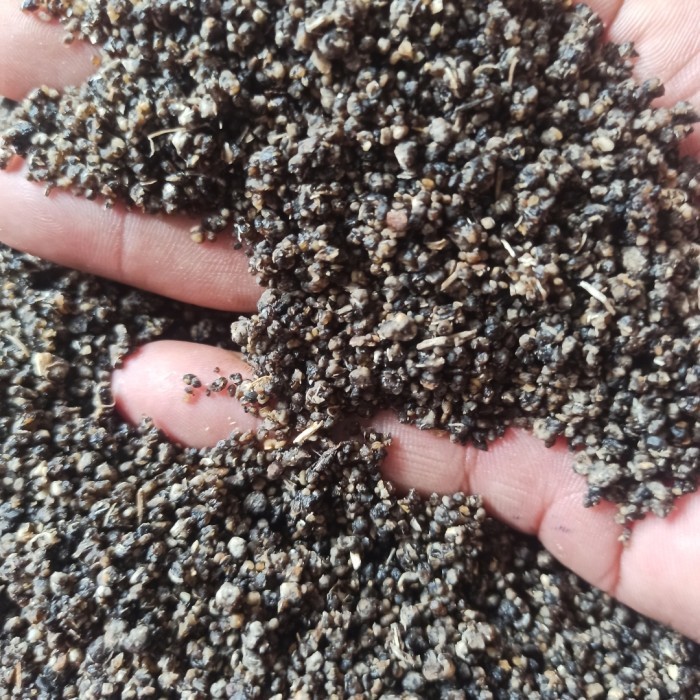 

Moerah~ Tiwul Oyek Hitam 1 kg Premium