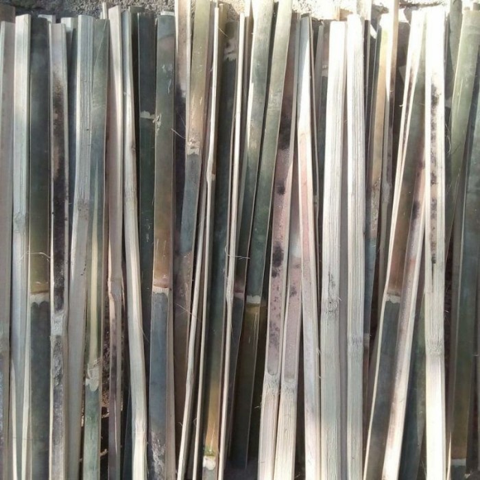 NEW 1,4_1,5 m Bilah Bambu / Bambu Ajir / Bambu Turus Tanaman / ....