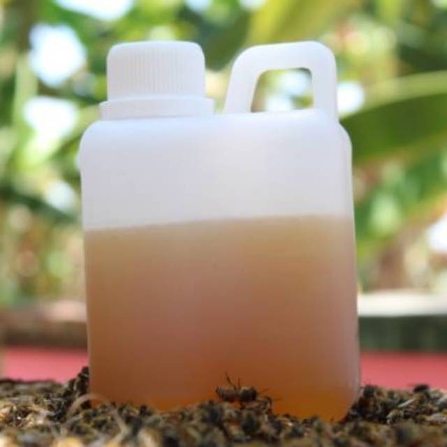 

[Pure] Madu murni | Raw honey 500 gr