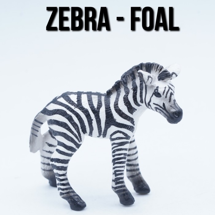 KORI ZEBRA Foal Anak Zebra Kuda Loreng Equus Quagga Mainan Figure Binatang Miniature Hewan Animal Fi