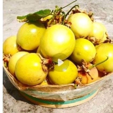 

Buah markisa sgar 500 gr olahan ius