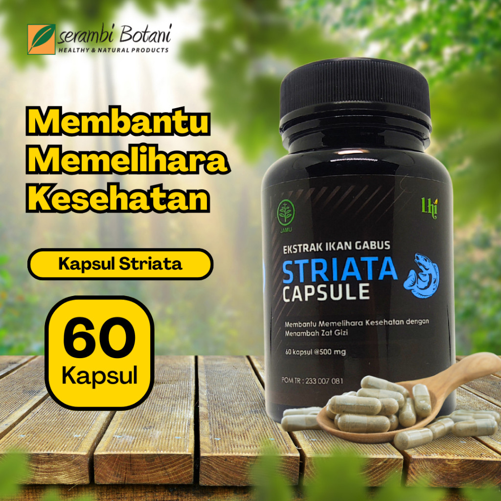 Kapsul Striata Ikan Gabus - Menjaga Kesehatan Tubuh