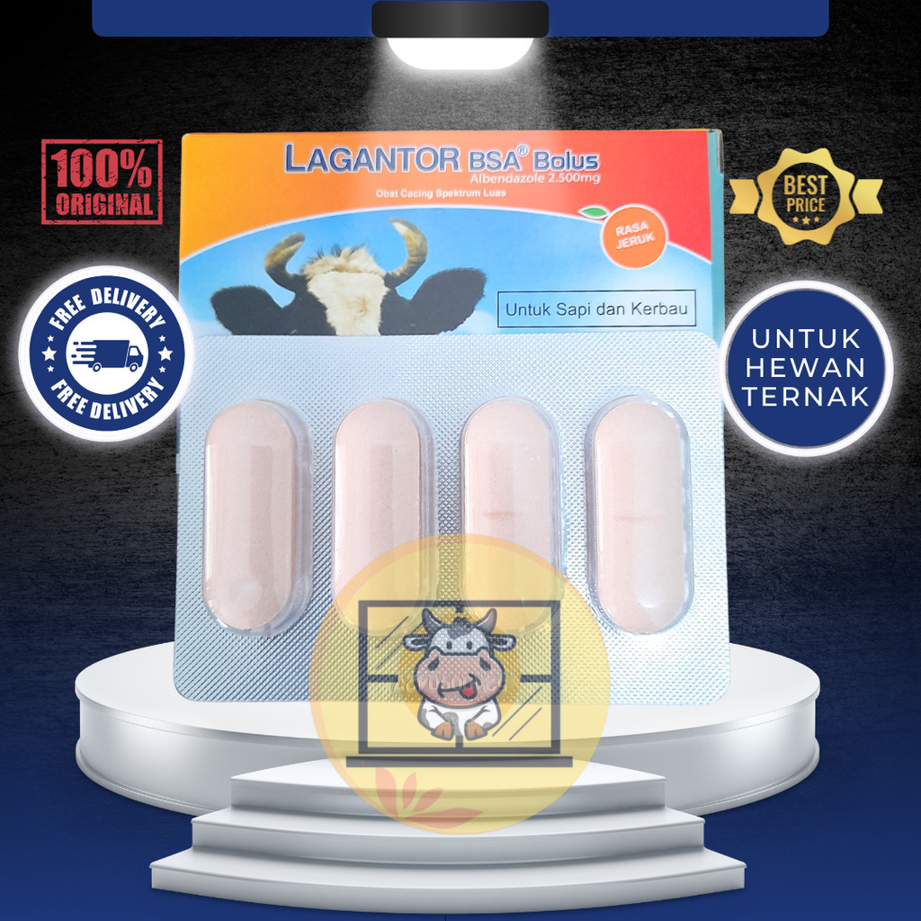 LAGANTOR BSA BOLUS - Obat Cacing Sapi Paling Ampuh Rasa Jeruk