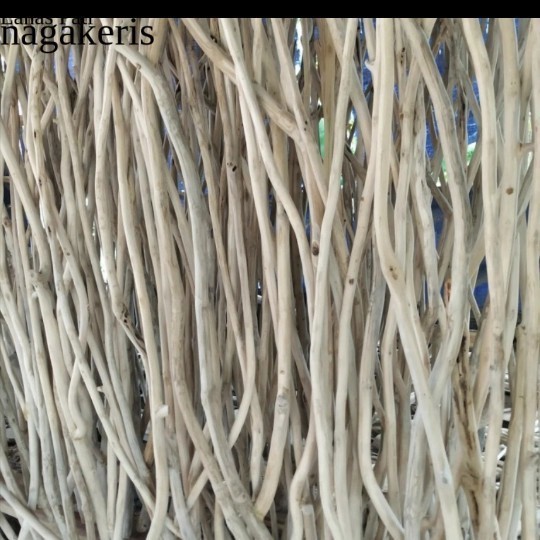 

ranting kayu jati 200 cm - tangkringan kandang ternak burung - ranting FXN10 XD7