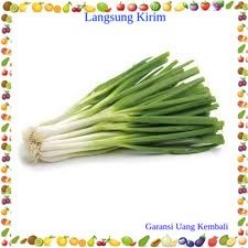 

Daun Bawang per ikat Sayur Mayur Buah Buahan Bersih Fresh