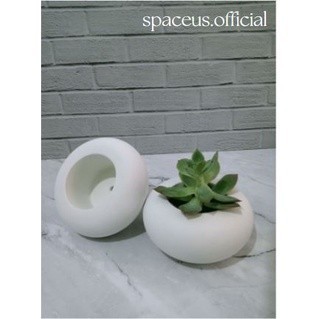 PBM POT DONAT + SUKULEN KAKTUS MINI / POT + EDELWEIS