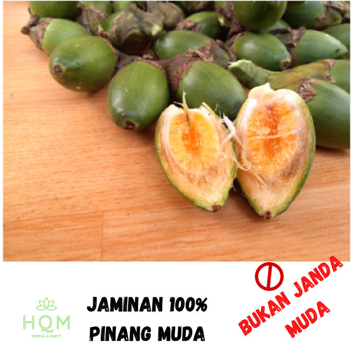 

Hafika Buah Pinang Muda Jambe Nom Herbal Perkasa
