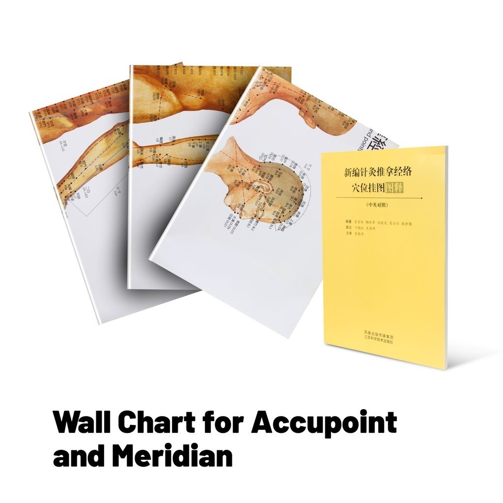 Wall Chart For Accupoint and Meridian - Gambar Poster Titik Akupuntur OJB