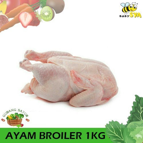 

Ayam Potong 1Kg Daging Segar Bekasi Jakarta Timur Utara Selatan Pusat