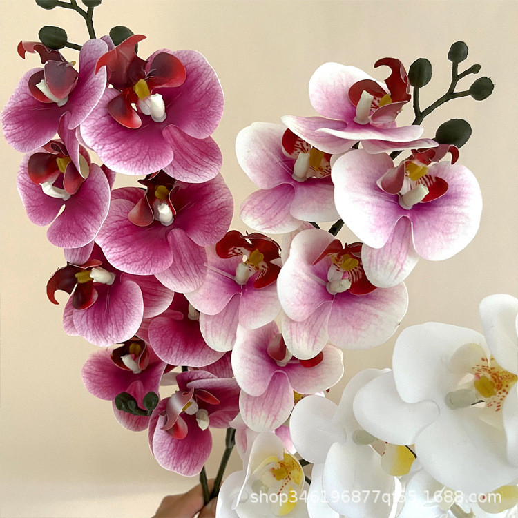 

5Pc 3D Print Film Phalaenopsis Artificial Flowers Real Touch Orchids Home Decor Wedding Road Leads Flower Arrangement Bouquet