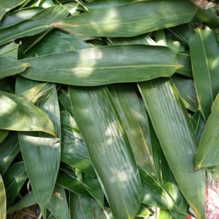 

daun bambu bungkus bacang segar 1 lembar
