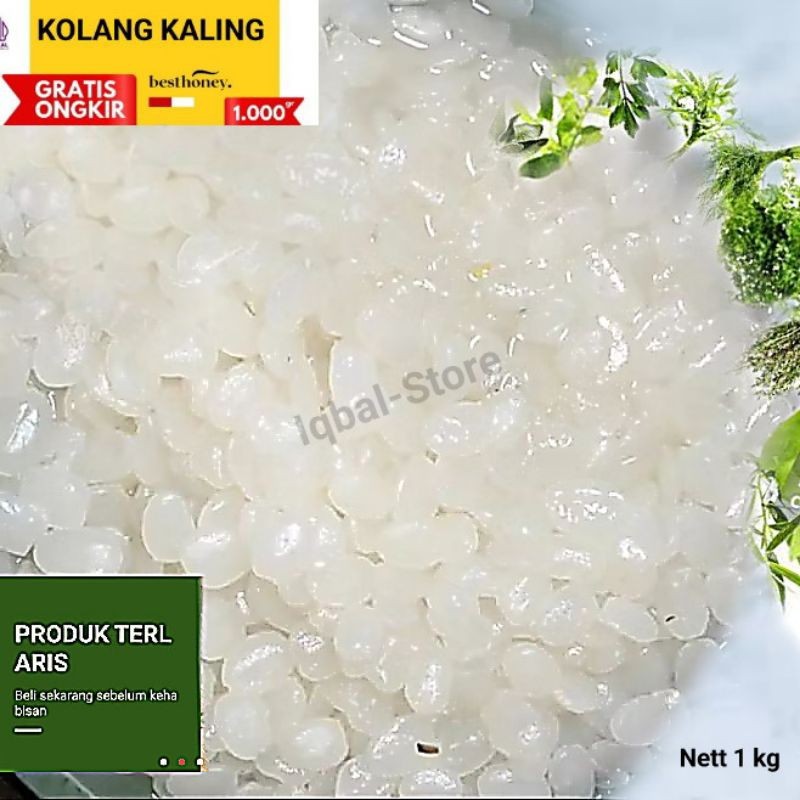 

BIG PROMO Biji Kolang Kaling Super 1 Kg Fresh Lembut Kenyal