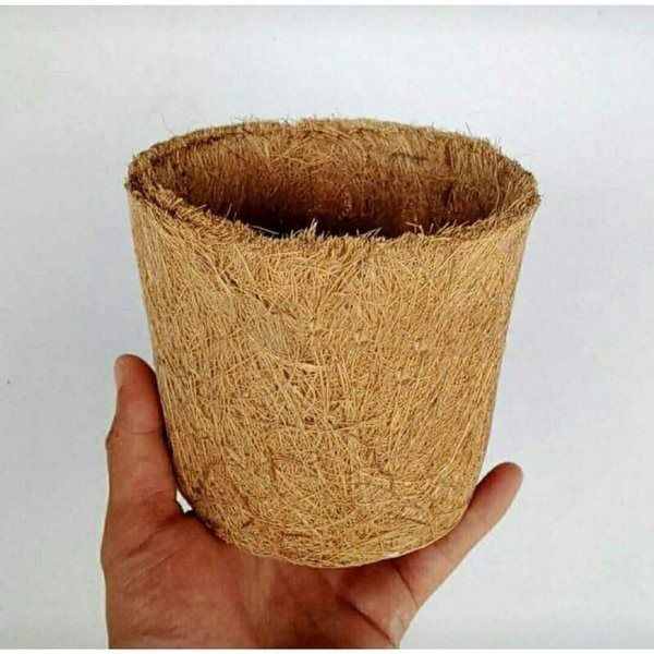 pot sabut kelapa anggrek sabut kelapa  pot sabut  pot kokedama  pot cantik serabut kelapa