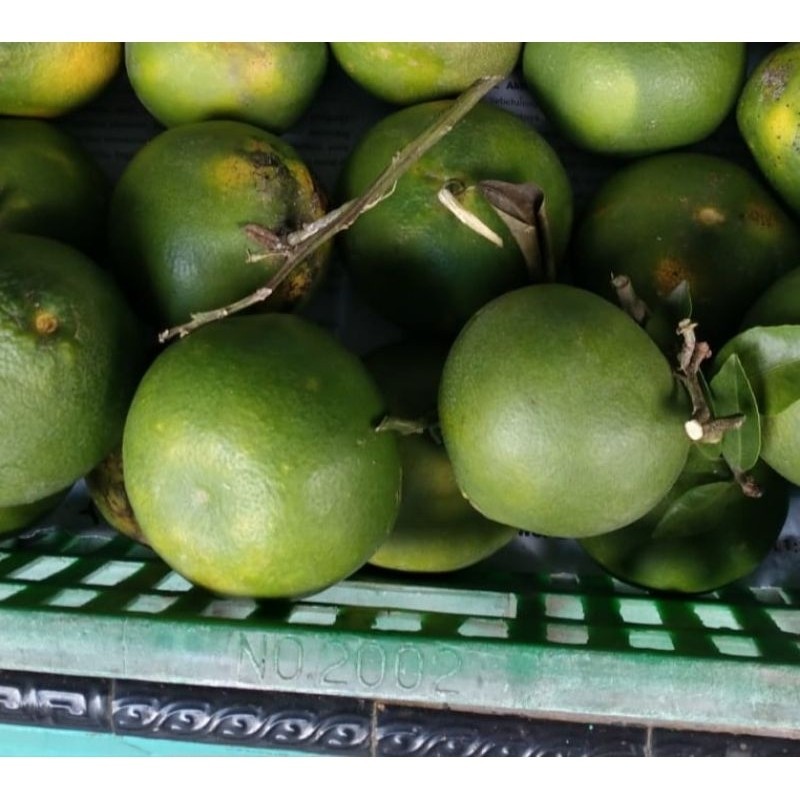Jeruk Sunkist Hijau 1Kg