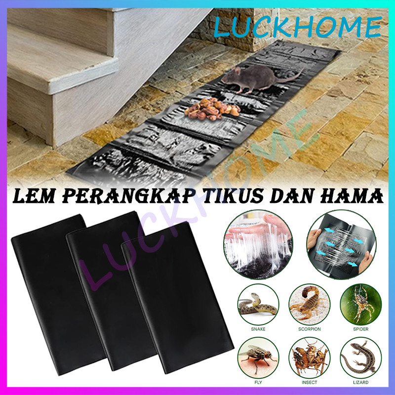 Perangkap Jebakan Lem Tikus Jumbo Perangkap Tikus Lem Tempelan Tikus Lem Papan Buku Perangkap Jebaka