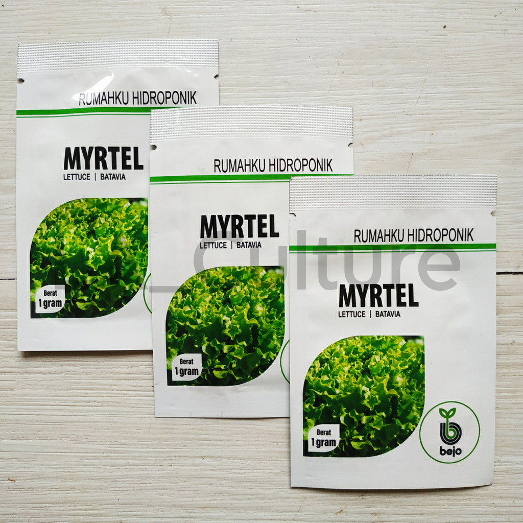 Benih Selada MYRTEL Isi 1 gram Lettuce Batavia Bejo Seed