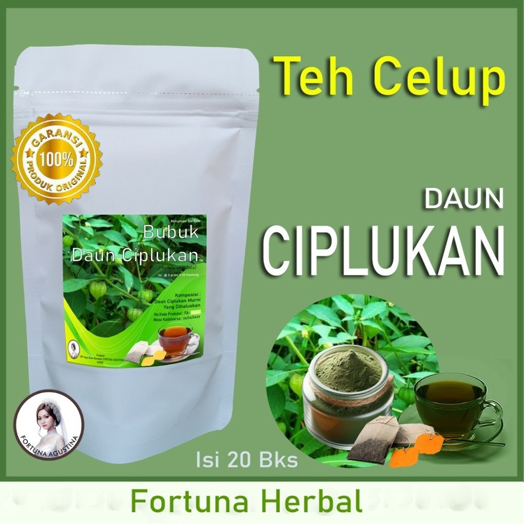 

Teh Celup Herbal Daun Ciplukan, Mencegah kanker, penyakit jantung,Stroke