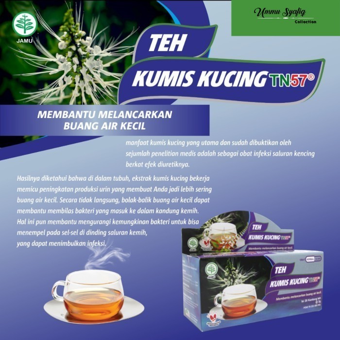 

Teh Celup Kumis Kucing Toga Nusantara TN57