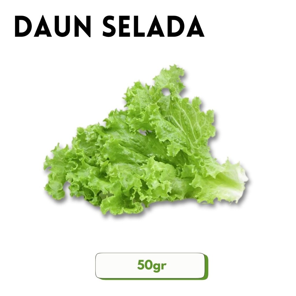 

Fresh Vegetable Store - Daun Selada Sayur/ Sayur Selada Segar [50G]