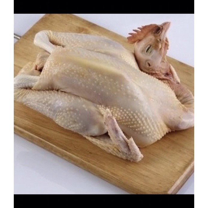 

Ayam Kampung Fresh 1 kg (daging segar) - BEST Fresh Food