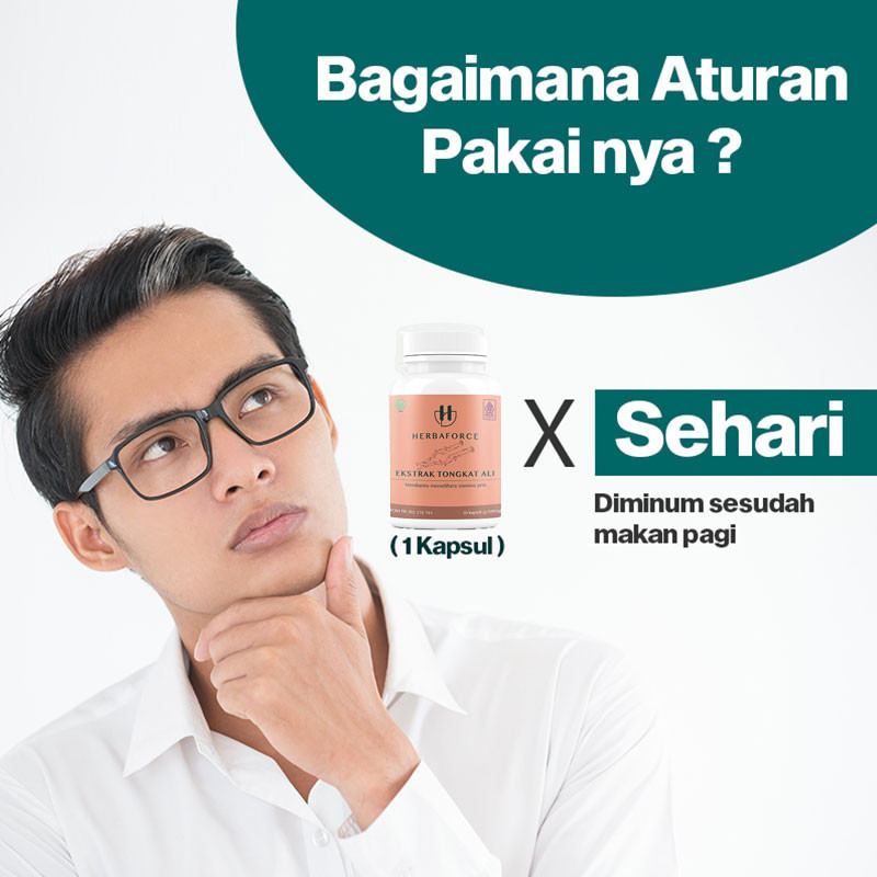 HERBAFORCE Ekstrak Tongkat Ali Obat Suplemen Herbal 30 / 60 Kapsul Memelihara Kesehatan Stamina Pria BPOM HALAL-2