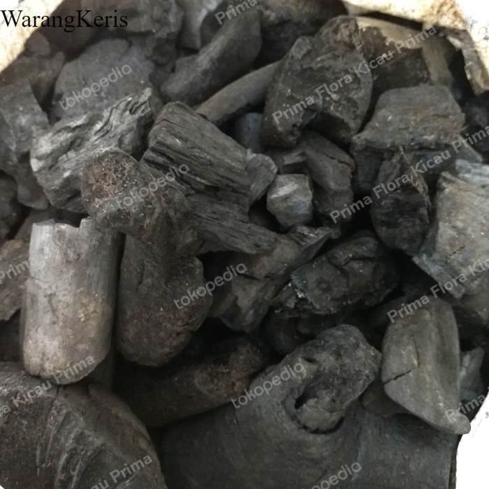 

Arang kayu media tanam anggrek, dasar pot 800gr murah