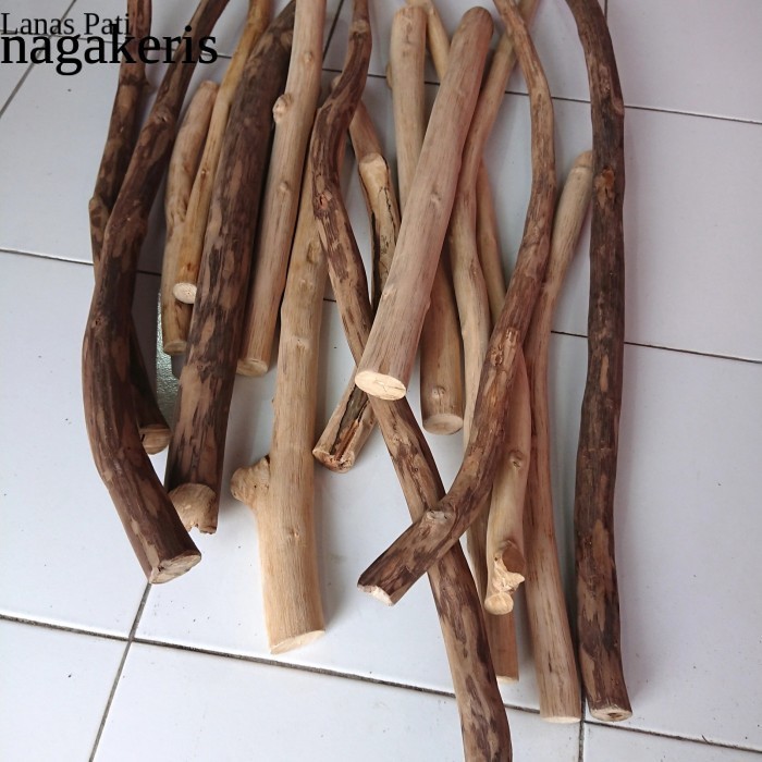 

Dahan macrame 20 cm | ranting kayu jati kering| teak wood FNX111 XD7