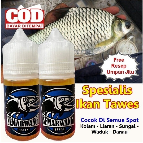 Umpan ikan Semarwangi Esen Oplosan Ikan Tawes - Essen Ikan Tawes Liar - Essen Ikan Tawes Sungai / Da